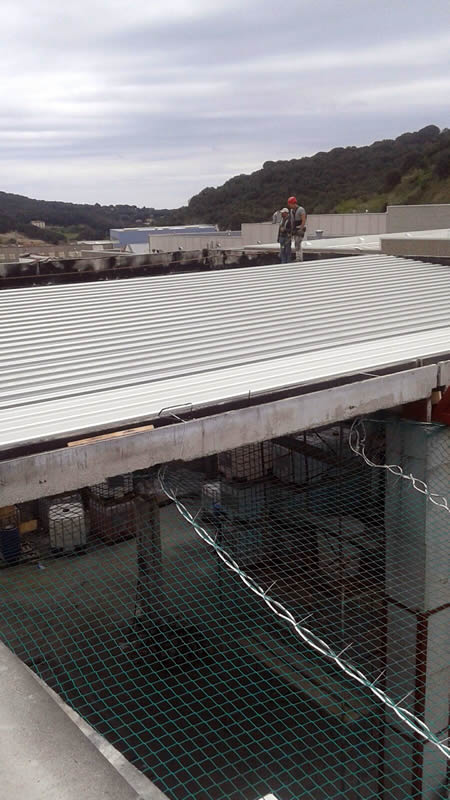 Proyecto Cubierta deck grup Casobi 